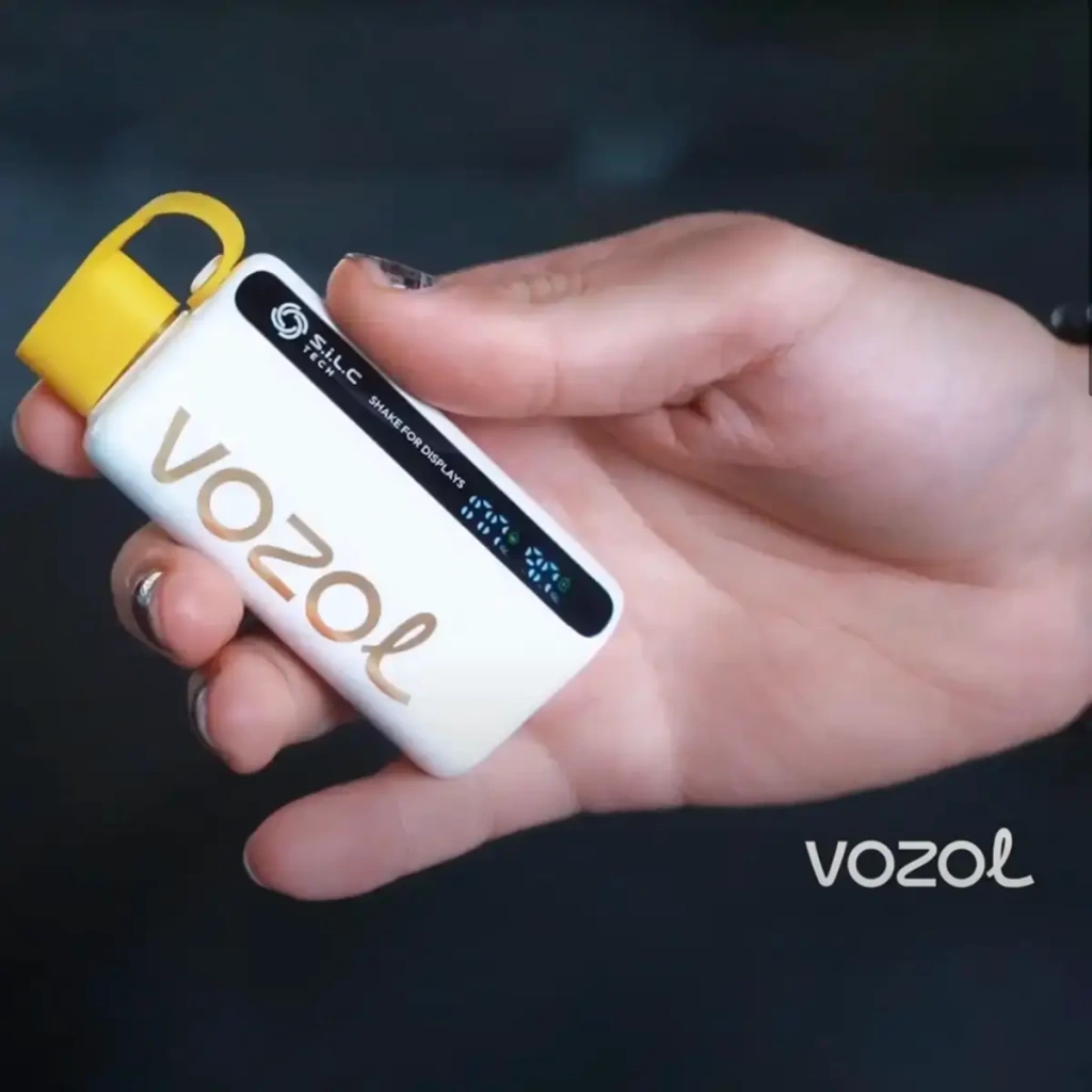 vozol 12000 puff raspberry watermelon 4666484951845 sw1200sh1200