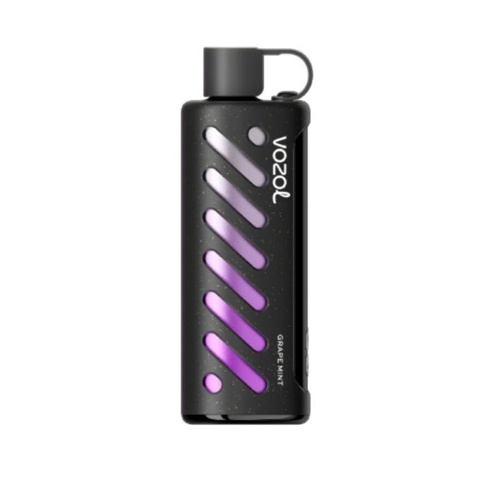 Vozol Gear Shisha 25000 Grape Mint